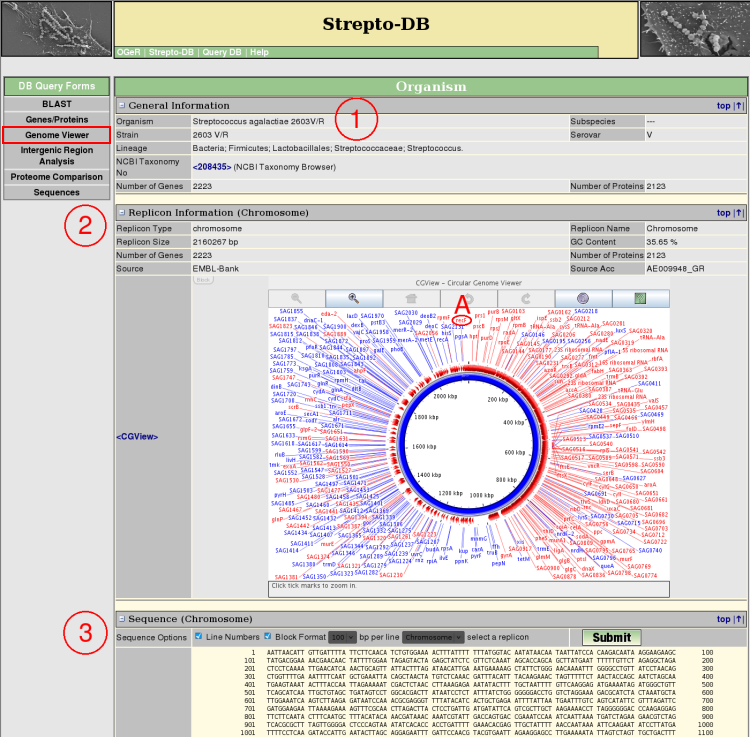 genome viewer help picture